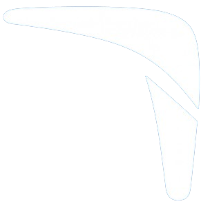 Billerang Logo